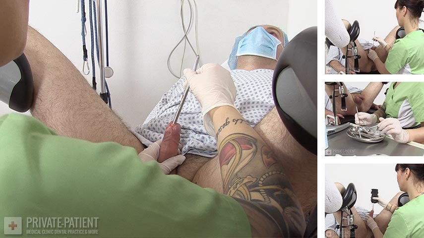 PP442_Urology-02