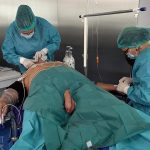 Welcome Dr. Ava 02