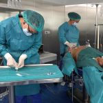 Welcome Dr. Ava 03